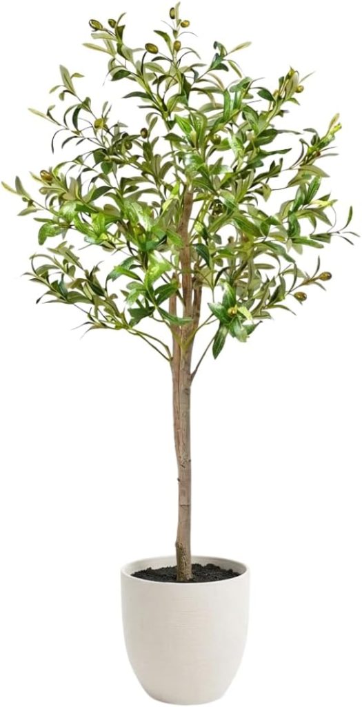 Olivo para terraza o balcón de estilo mediterráneo CLOVE