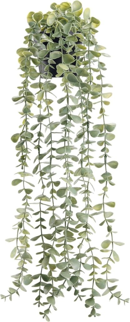 Plantas artificiales colgantes para el baño DER ROSE