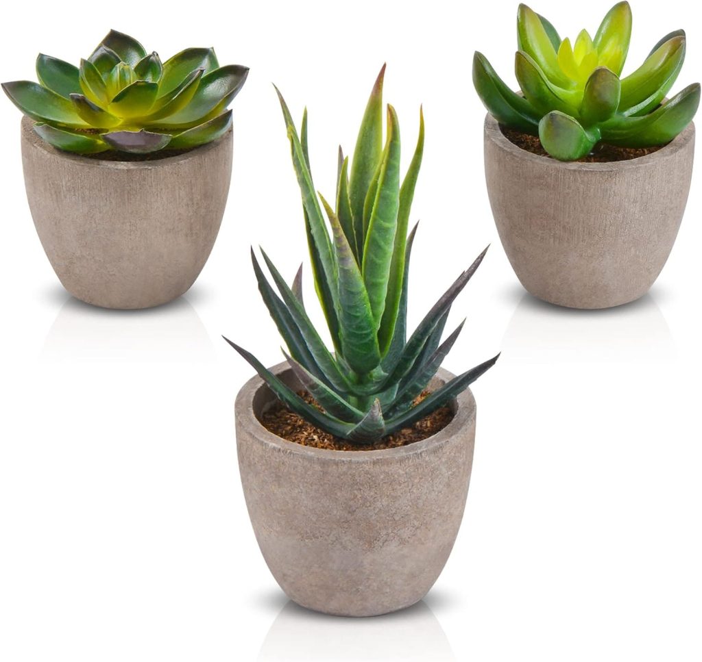 Plantas suculentas artificiales ZALAVA