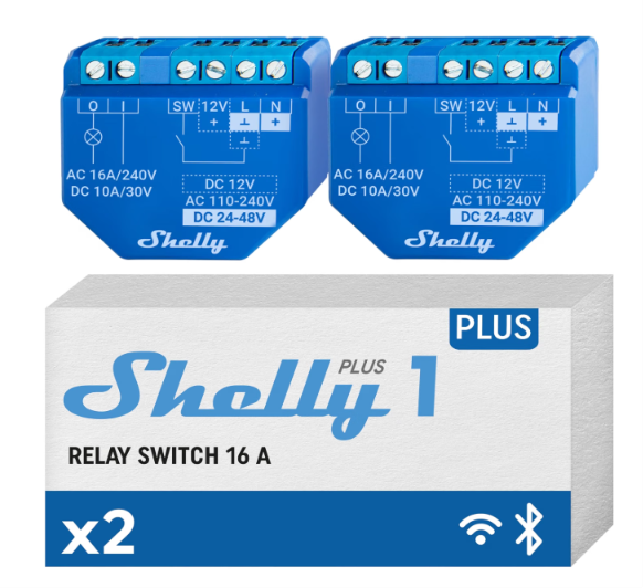 Shelly Plus 1
